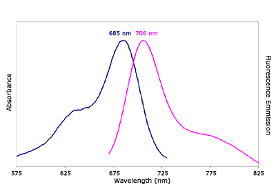 Absorbance and Fluorescence Emission